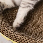 Cat Scratching Board | Cat Bed - Image 8