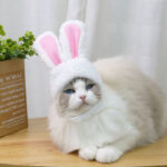Cat Hood Costume - Image 2