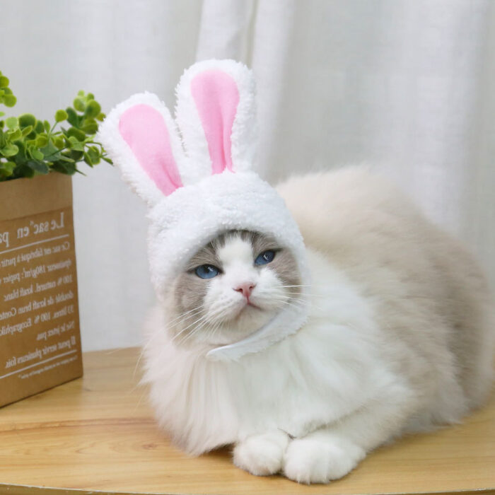 Cat Hood Costume - Image 2