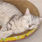 Cat Scratching Board | Cat Bed - Image 7
