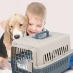 Pet Carrier Cat Cage Travel Kennel
