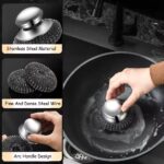 Stainless Steel Pot Brush