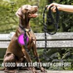 Dog Leash | Rope