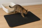 Cat Litter Mat - Image 14