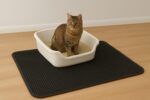 Cat Litter Mat