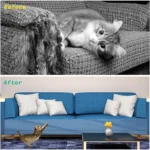 Furniture Transparent Sticker | Cat Scratch Deterrent Tape - Image 8