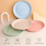 Unbreakable Wheat Straw Dish Fruit Plate - Image 8