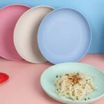 Unbreakable Wheat Straw Dish Fruit Plate - Image 12