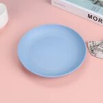 Unbreakable Wheat Straw Dish Fruit Plate - Image 15