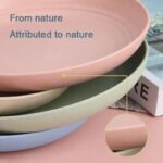 Unbreakable Wheat Straw Dish Fruit Plate - Image 6