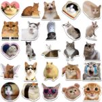 Cat Funny Meme Stickers - Image 4