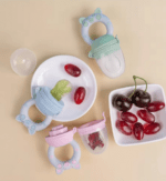Baby Food And Fruits Feeder Pacifier - Image 2