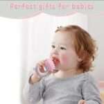 Baby Food And Fruits Feeder Pacifier