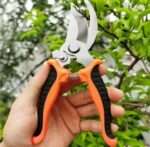 Gardening Stainless Steel Scissor for Plants - Image 4