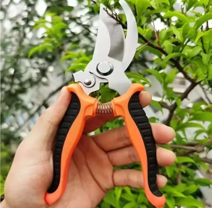 Gardening Stainless Steel Scissor for Plants - Image 4