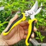 Gardening Stainless Steel Scissor for Plants