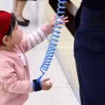 Adjustable Child Safety Harness