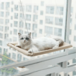 Cat Hammock