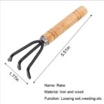3 Pcs Mini Garden Tools - Image 5