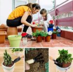 3 Pcs Mini Garden Tools - Image 3