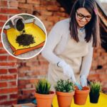Reusable Gardening Mat