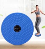 Waist Twisting Disc